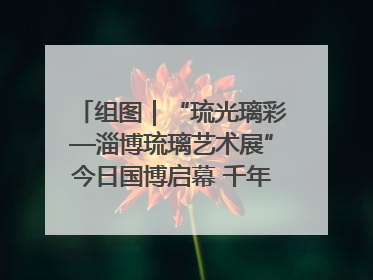 组图｜“琉光璃彩—淄博琉璃艺术展”今日国博启幕 千年窑火绽放京城
