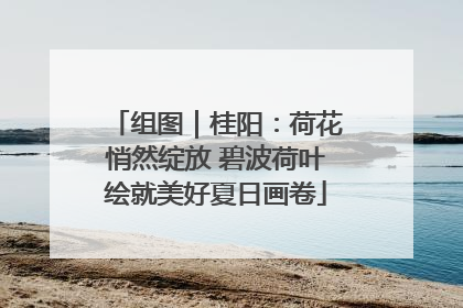 组图｜桂阳：荷花悄然绽放 碧波荷叶绘就美好夏日画卷