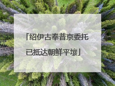 绍伊古奉普京委托已抵达朝鲜平壤