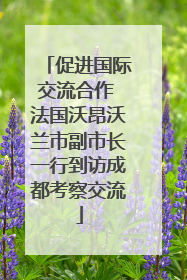 促进国际交流合作 法国沃昂沃兰市副市长一行到访成都考察交流