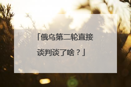 俄乌第二轮直接谈判谈了啥？