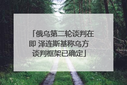 俄乌第二轮谈判在即 泽连斯基称乌方谈判框架已确定