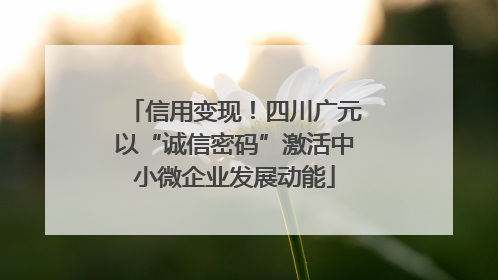 信用变现！四川广元以“诚信密码”激活中小微企业发展动能
