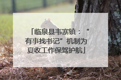 临泉县韦寨镇：“有事找书记”机制为夏收工作保驾护航