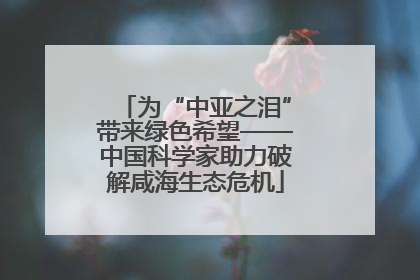 为“中亚之泪”带来绿色希望——中国科学家助力破解咸海生态危机
