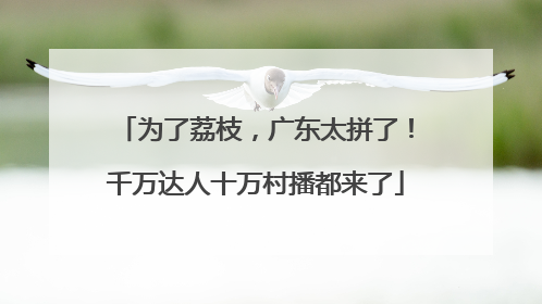 为了荔枝，广东太拼了！千万达人十万村播都来了