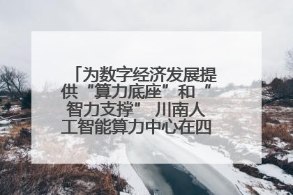 为数字经济发展提供“算力底座”和“智力支撑” 川南人工智能算力中心在四川泸州启动