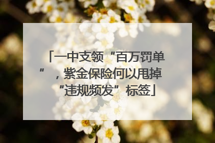 一中支领“百万罚单”，紫金保险何以甩掉“违规频发”标签