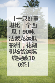 一只虾重堪比一个西瓜！90吨活波龙运抵鄂州，花湖机场货运航线突破100条
