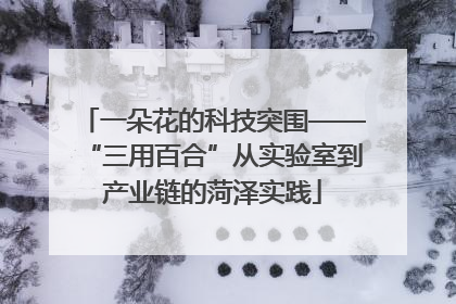 一朵花的科技突围——“三用百合”从实验室到产业链的菏泽实践
