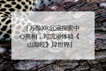 万像XR沉浸探索中心亮相，可沉浸体验《山海经》异世界