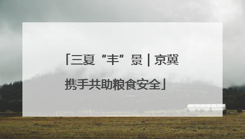 三夏“丰”景｜京冀携手共助粮食安全