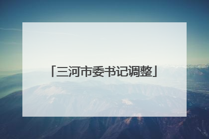 三河市委书记调整