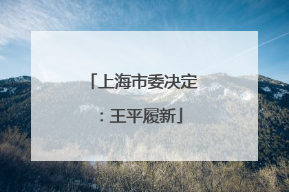 上海市委决定：王平履新