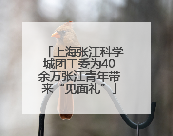 上海张江科学城团工委为40余万张江青年带来“见面礼”