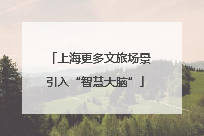 上海更多文旅场景引入“智慧大脑”