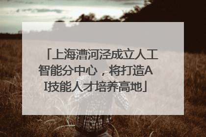 上海漕河泾成立人工智能分中心，将打造AI技能人才培养高地