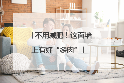 不用减肥！这面墙上有好“多肉”