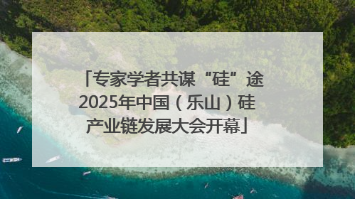 专家学者共谋“硅”途 2025年中国（乐山）硅产业链发展大会开幕