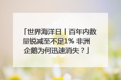 世界海洋日丨百年内数量锐减至不足1% 非洲企鹅为何迅速消失？