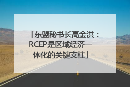 东盟秘书长高金洪：RCEP是区域经济一体化的关键支柱