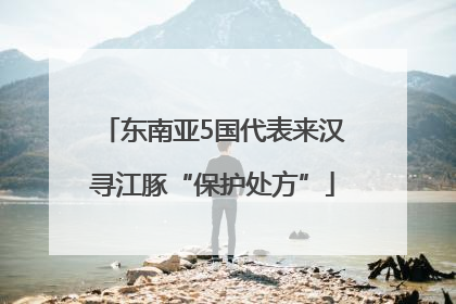 东南亚5国代表来汉寻江豚“保护处方”