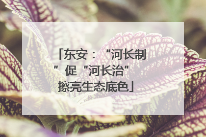东安：“河长制”促“河长治” 擦亮生态底色
