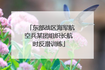 东部战区海军航空兵某团组织长航时反潜训练
