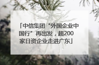 中信集团“外国企业中国行”再出发，超200家日资企业走进广东