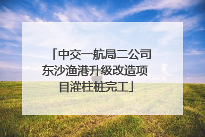 中交一航局二公司东沙渔港升级改造项目灌柱桩完工