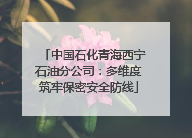 中国石化青海西宁石油分公司：多维度筑牢保密安全防线