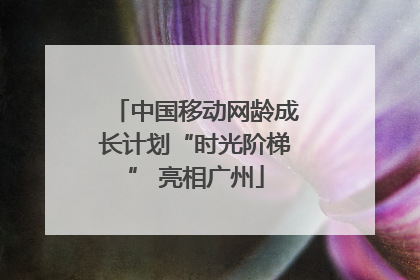中国移动网龄成长计划“时光阶梯” 亮相广州