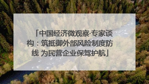 中国经济微观察·专家谈构：筑抵御外部风险制度防线 为民营企业保驾护航