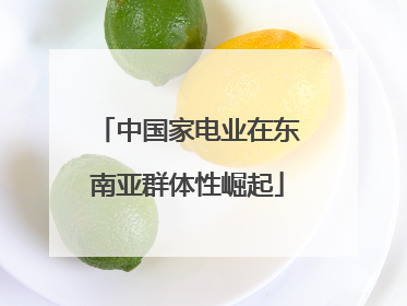 中国家电业在东南亚群体性崛起