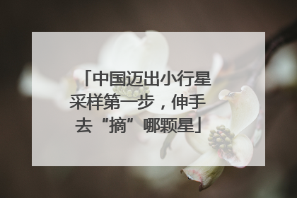 中国迈出小行星采样第一步，伸手去“摘”哪颗星