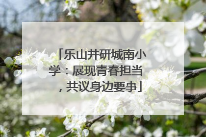 乐山井研城南小学：展现青春担当，共议身边要事