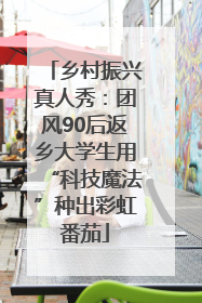 乡村振兴真人秀：团风90后返乡大学生用“科技魔法”种出彩虹番茄