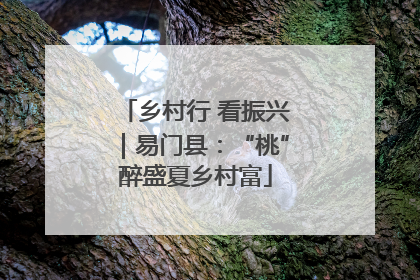 乡村行 看振兴｜易门县：“桃”醉盛夏乡村富