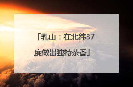 乳山：在北纬37度做出独特茶香