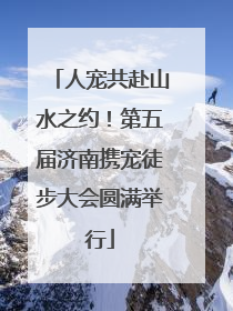 人宠共赴山水之约！第五届济南携宠徒步大会圆满举行