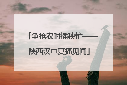 争抢农时插秧忙——陕西汉中夏播见闻