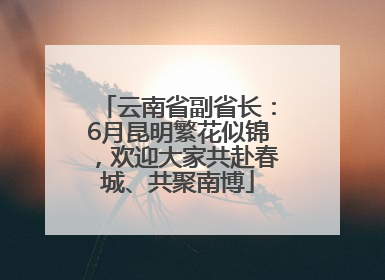 云南省副省长：6月昆明繁花似锦，欢迎大家共赴春城、共聚南博