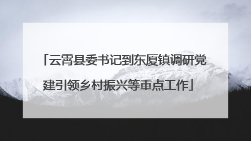 云霄县委书记到东厦镇调研党建引领乡村振兴等重点工作