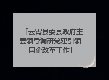 云霄县委县政府主要领导调研党建引领国企改革工作