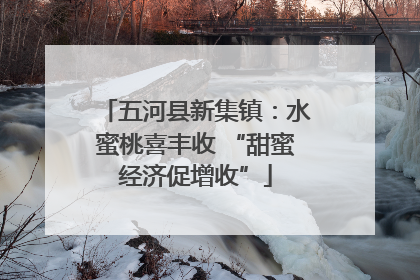 五河县新集镇：水蜜桃喜丰收 “甜蜜经济促增收”