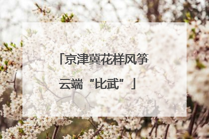 京津冀花样风筝云端“比武”
