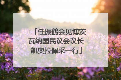 任振鹤会见博茨瓦纳国民议会议长凯奥拉佩采一行