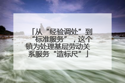 从“经验调处”到“标准服务”，这个镇为处理基层劳动关系服务“造标尺”