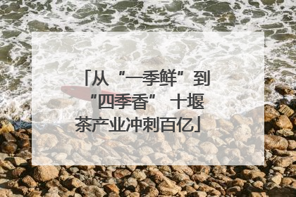 从“一季鲜”到“四季香” 十堰茶产业冲刺百亿