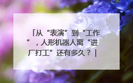 从“表演”到“工作”，人形机器人离“进厂打工”还有多久？｜机器人商业新纪元